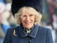 Camilla ist Oma von Zwillingen