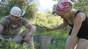 Neues Farm-Quiz: Sind Sie der geborene Farmer? 