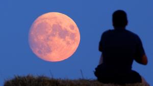So unterst&uuml;tzt der Mond Ihre Sch&ouml;nheit