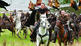'Robin Hood': Russell Crowe in Lederleggings