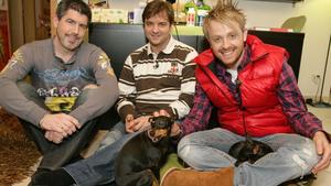 Hundeerziehung bei Ross Antony