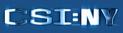 CSI:NY