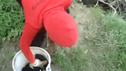 Hunde in Fluss geschmissen