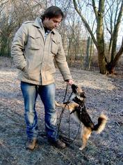 Hundeprofi Martin Rütter, Katharina Steinhüser, Rüde Stuart