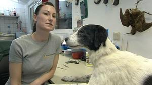 hundkatzemaus-Reporterin Diana Eichhorn mit "Klein Maggie" auf einem Tierfriedhof. Foto: VOX/DOCMA TV