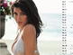 Prominente Kalender-Girls: So sexy wird das Jahr 2011