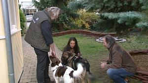 hundkatzemaus-Tierschutzexperte Frank Weber und der rumänische Straßenhund Bocsi. Foto: VOX/Docma TV