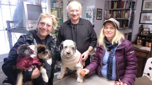 Martin Semmelrogge mit dem einjährigen Tierheimhund Buddy, Dr. Wolf mit dem polnischen Niederungshütehündin Crazy (10) und Sonja Semmelrogge. Foto: VOX/Docma TV/ Dr. Gerald Krakauer Martin Semmelrogge mit dem einjährigen Tierheimhund Buddy, Dr. Wolf mit dem polnischen Niederungshütehündin Crazy (10) und Sonja Semmelrogge. Foto: VOX/Docma TV/ Dr. Gerald Krakauer