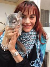 hundkatzemaus-Reporterin Diana Eichhorn mit einem Chinchilla. Foto: VOX/Docma TV/Dr. Gerald Krakauer hundkatzemaus-Reporterin Diana Eichhorn mit einem Chinchilla. Foto: VOX/Docma TV/Dr. Gerald Krakauer