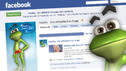 DSDS-Frosch Freddy ist auch bei Facebook