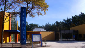 VOX Menschen, Tiere & Doktoren: Tierheim Nürnberg VOX Menschen, Tiere & Doktoren: Tierheim Nürnberg