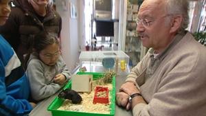 hundkatzemaus-Tierarzt Dr. Wolf untersucht einen Goldhamster mit Bisswunde hundkatzemaus-Tierarzt Dr. Wolf untersucht einen Goldhamster mit Bisswunde