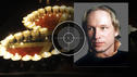 Breivik: Ich bin nicht schuldig