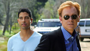 Das CSI: Miami-Quiz
