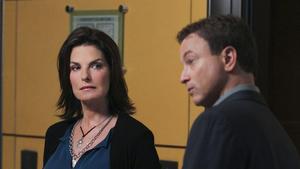 CSI:NY - Die siebte Staffel