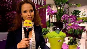 RTL-Reporterin Wiesje Vornberger hat sich auf der SPO-GA in Köln umgeschaut.