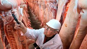 Gammelfleisch: So sch&uuml;tzen Sie sich