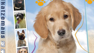 Alles zum Thema Hund und Katze