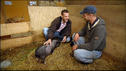 Ist es Liebe?