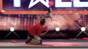 Die tierische Show im Video