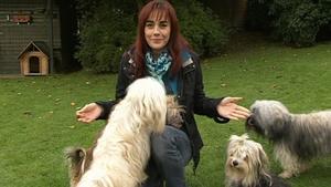 hundkatzemaus: Diana Eichhorn bei der Havaneser Rasselbande hundkatzemaus: Diana Eichhorn präsentiert die Hunderasse der Havaneser