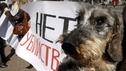 Protest der Tierschützer hat Erfolg