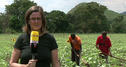 RTL Reporter