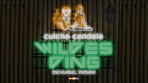 Culcha Candela mit 'Wildes Ding'