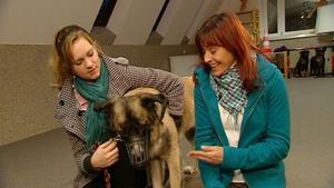 hundkatzemaus-Reporterin Diana Eichhorn hundkatzemaus-Reporterin Diana Eichhorn