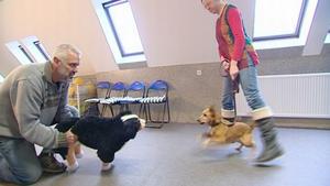 hundkatzemaus-Reporterin Diana Eichhorn hundkatzemaus-Reporterin Diana Eichhorn