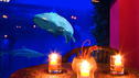 Tropen-Aquarium Hagenbeck