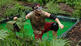 Dschungelcamp 2012: Rocco Stark belegt im Finale den dritten Platz