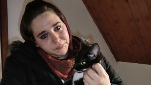 Katze Katze