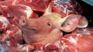 Jede vierte Schweinefleischprobe mit multiresisten Keimen belastet