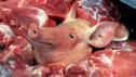 Schweinefleisch gefährlich verkeimt Schweinefleisch gefährlich verkeimt