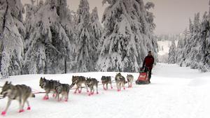 Gemeinsam durch Eis & Schnee