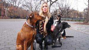 Dogwalker: 4.000 Euro f&uuml;rs Gassigehen