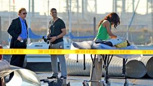 CSI: Miami