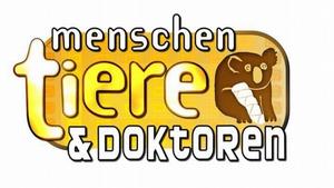 Spielfilm