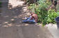 img1