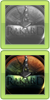 Raufbold