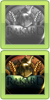 Mundraub